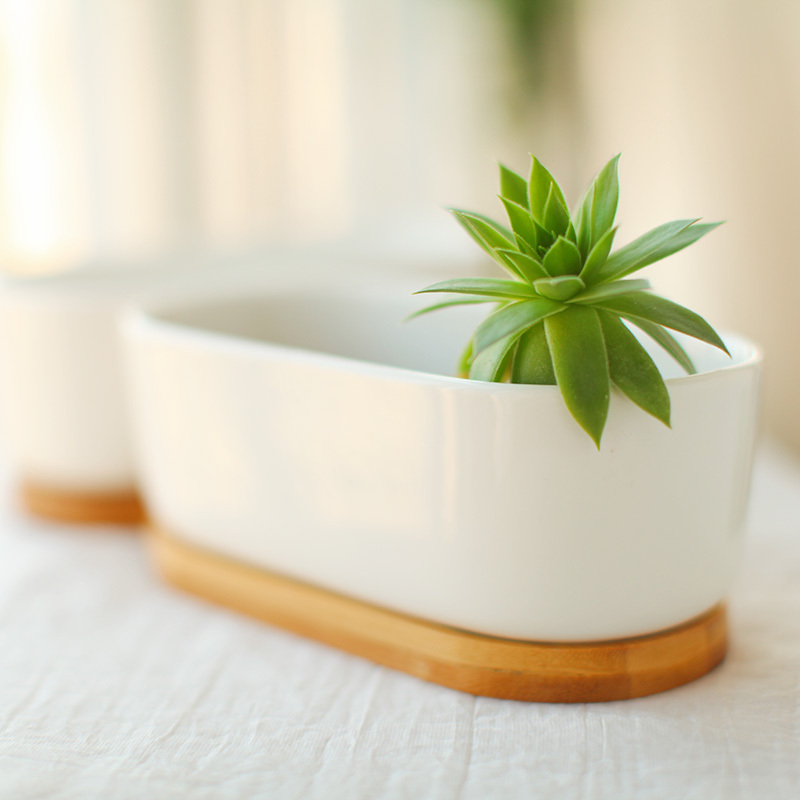 Ceramic flower pot-image
