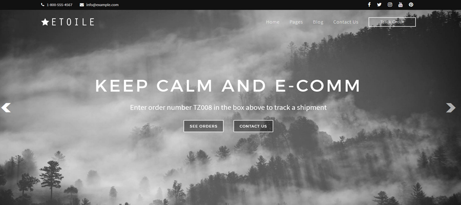 WordPress Deal Keep Calm and E-Comm Theme Screen Cap